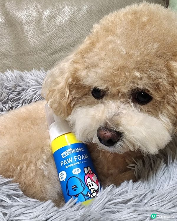 清潔 防舔一take過