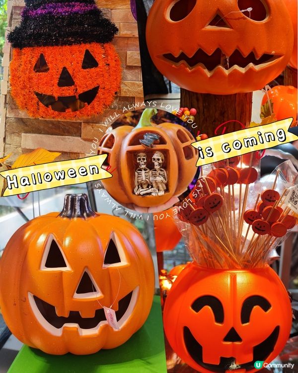 🎃萬聖節南瓜頭冷知識！👻 驅鬼又好玩！🎃