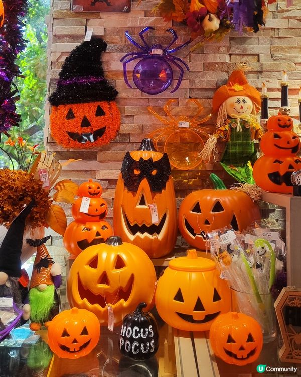 🎃萬聖節南瓜頭冷知識！👻 驅鬼又好玩！🎃