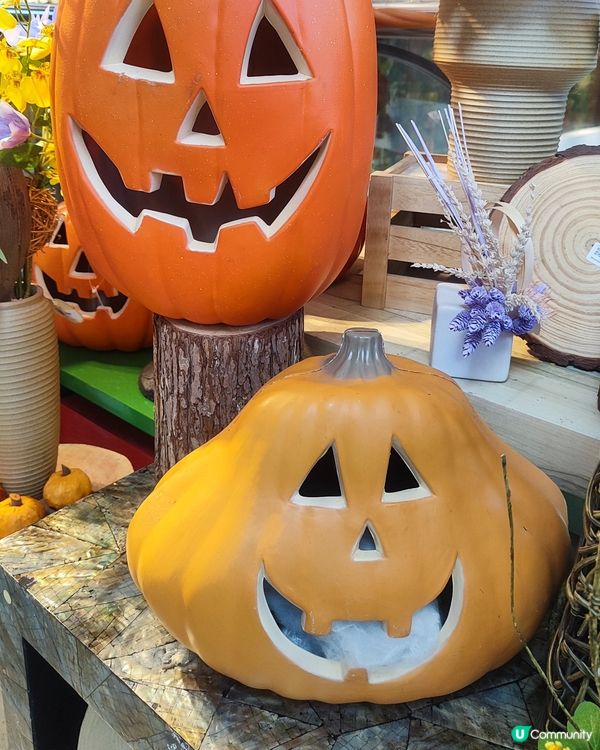 🎃萬聖節南瓜頭冷知識！👻 驅鬼又好玩！🎃