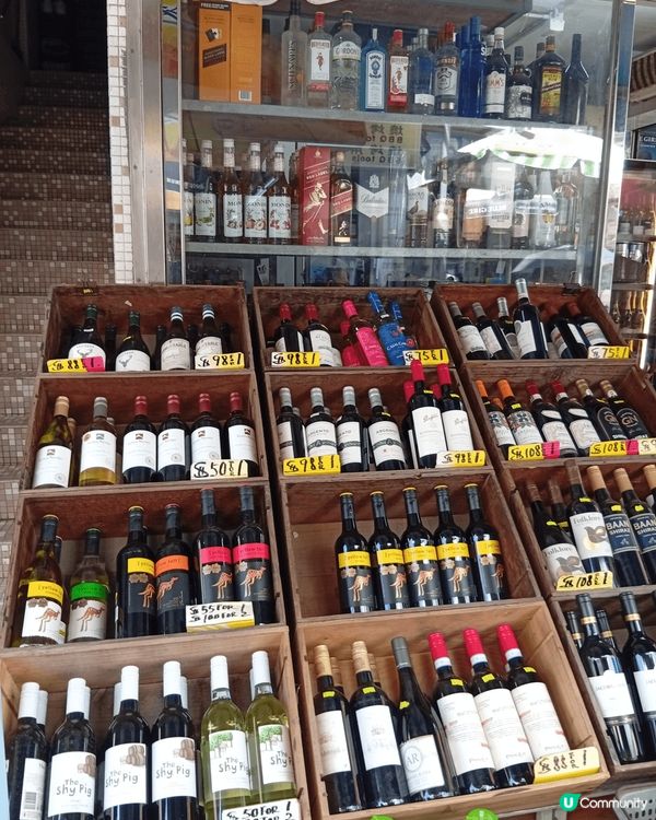 南Y島是香港著名的旅遊小島，船程大約半小時，便可遠離城市煩囂...