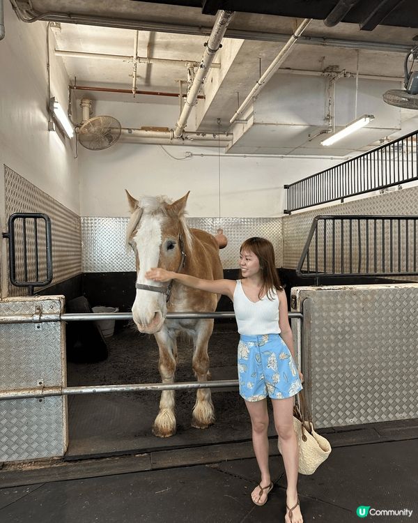 早前去咗香港愉景灣酒店Auberge Discovery B...