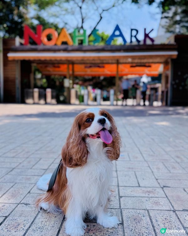 帶毛孩去玩！挪亞方舟超開心🥳🐶