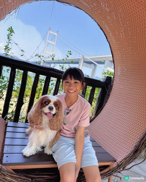 帶毛孩去玩！挪亞方舟超開心🥳🐶