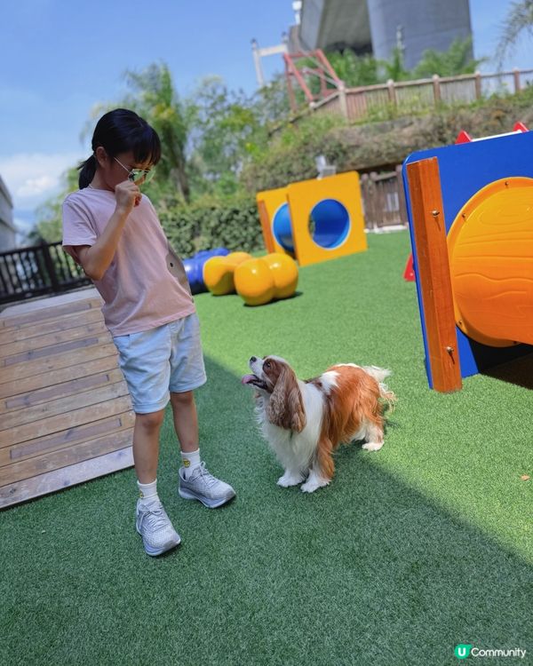 帶毛孩去玩！挪亞方舟超開心🥳🐶