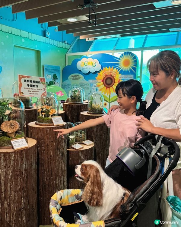 帶毛孩去玩！挪亞方舟超開心🥳🐶