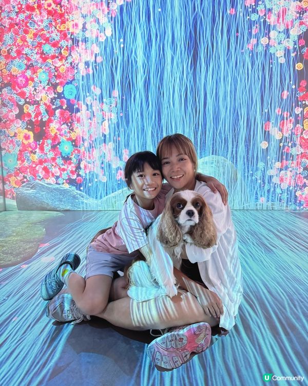 帶毛孩去玩！挪亞方舟超開心🥳🐶