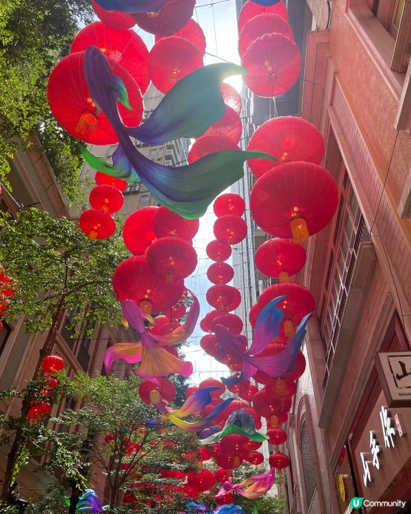 花膠雞米線🤤灣仔囍麵見！😋