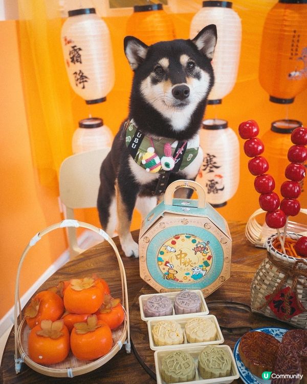 香港製造寵物冰皮月餅