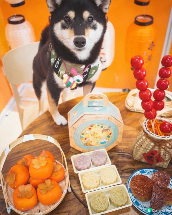 香港製造寵物冰皮月餅