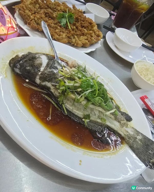 第一次帶狗仔食茶記！🐶😋