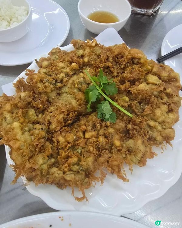 第一次帶狗仔食茶記！🐶😋