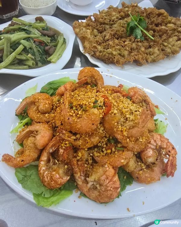 第一次帶狗仔食茶記！🐶😋