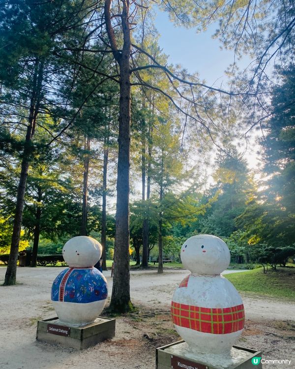 首爾🍃南怡島🍃