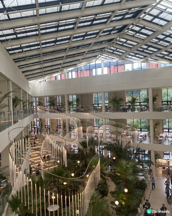 首爾打卡Café - Hutan Café 