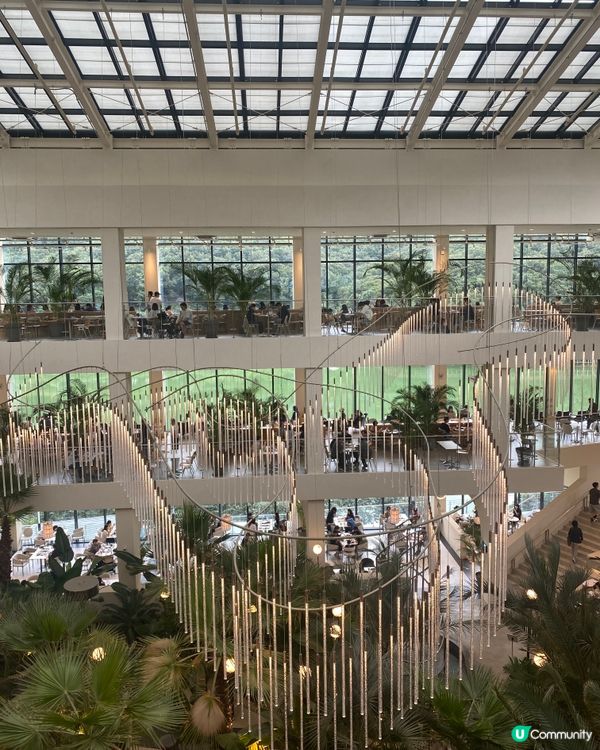 首爾打卡Café - Hutan Café 