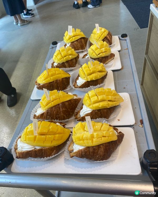 首爾打卡Café - Hutan Café 