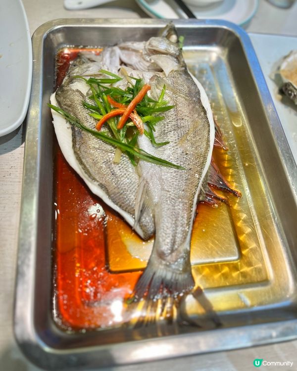 深圳仙廟燒雞🤤！同屋企人食到勁飽🥳！ 好抵食！！