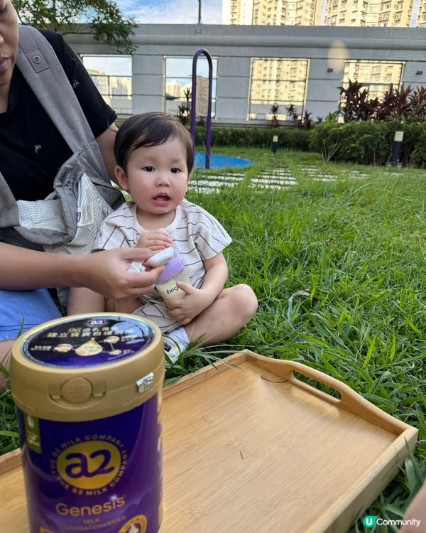 新西蘭奶粉推介 