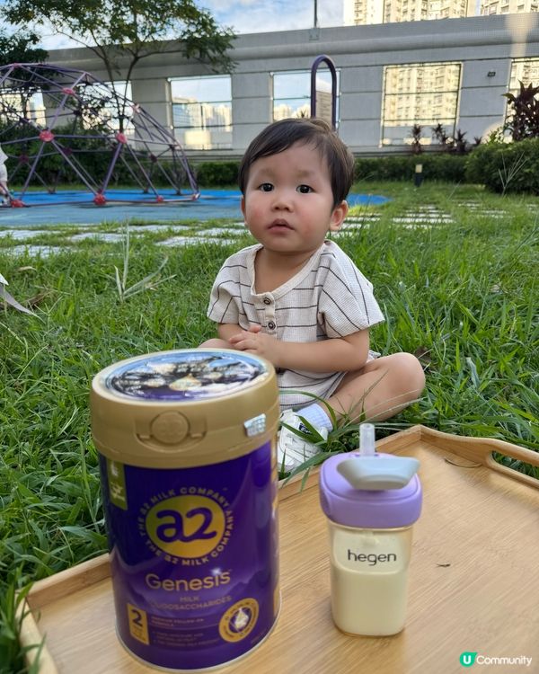新西蘭奶粉推介 