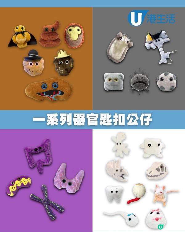 香港醫學博物館推出器官鎖匙扣公仔🤣