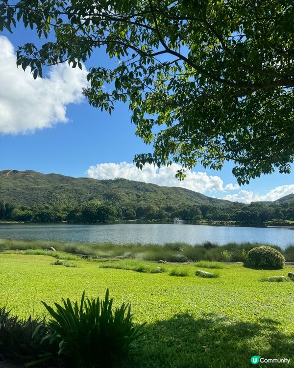 31℃的迪欣湖慢跑 ☺️☀️💕