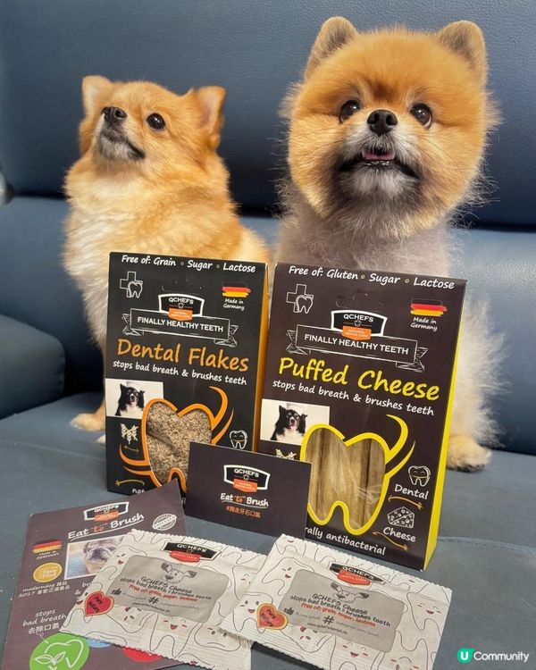 毛孩芝士潔齒真係得？