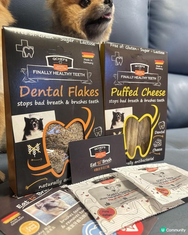 毛孩芝士潔齒真係得？