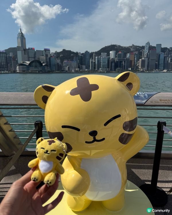 SVT香港演唱會🩷🩵💎