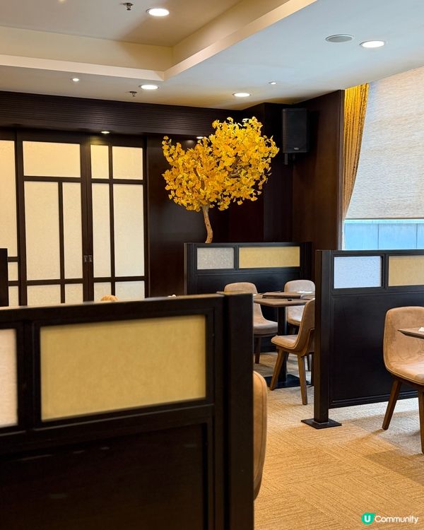 四季悅日本料理推介！😋 金鐘返工必食！🍣