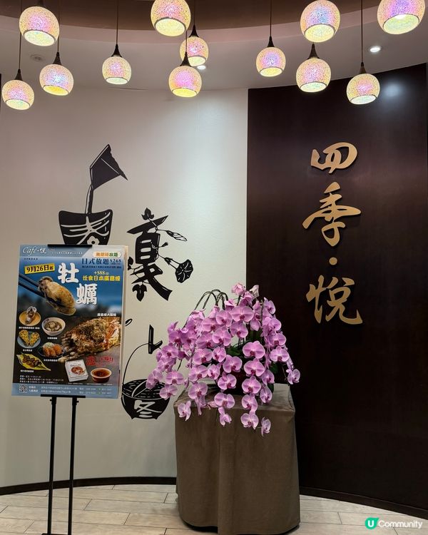 四季悅日本料理推介！😋 金鐘返工必食！🍣