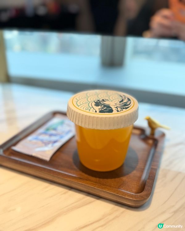 黑曜光感護髮！朗豪坊海景享受🤩✨