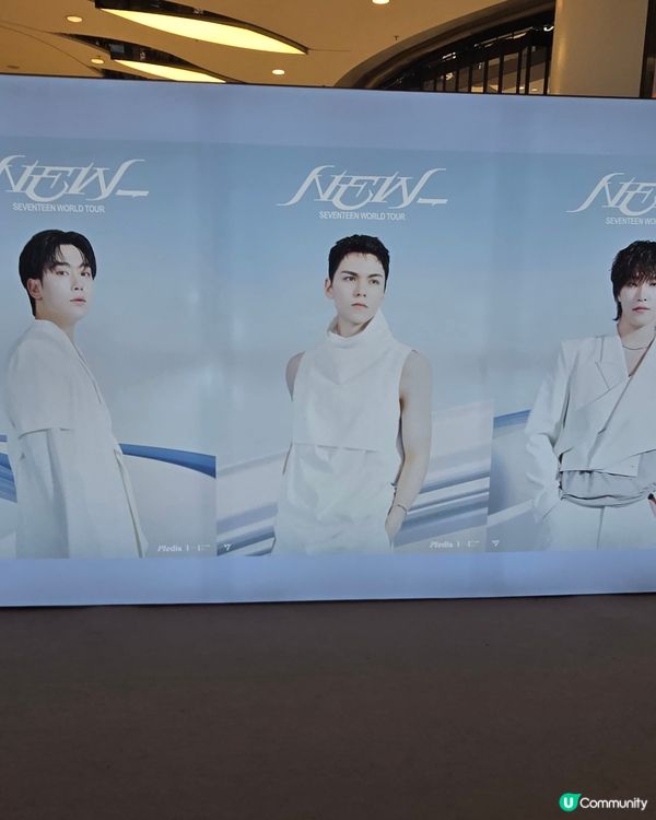 有大量New_ tour MD，去到10月22日。