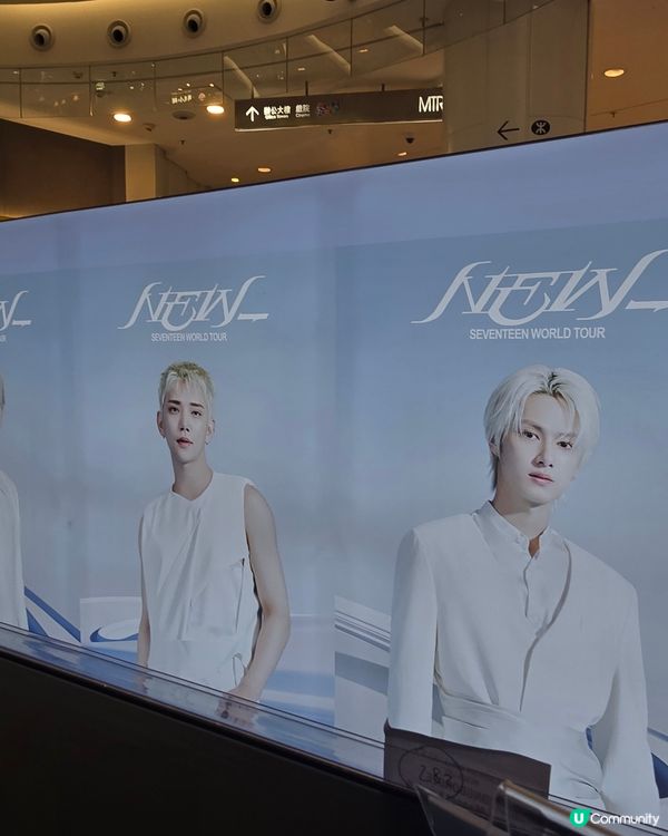 有大量New_ tour MD，去到10月22日。