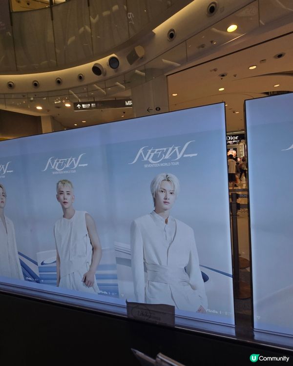 有大量New_ tour MD，去到10月22日。