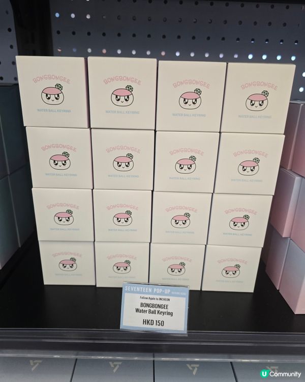 有大量New_ tour MD，去到10月22日。