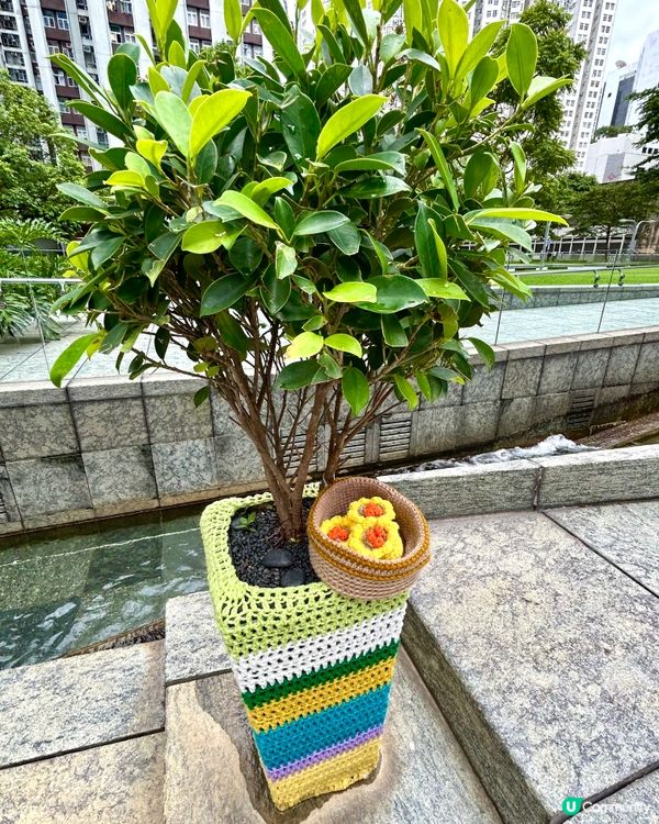 太古美食毛冷裝飾🧶！假日必去👀！ #手作 #親子遊