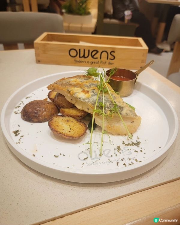 木系溫馨裝修，甜品出色😋🍽️