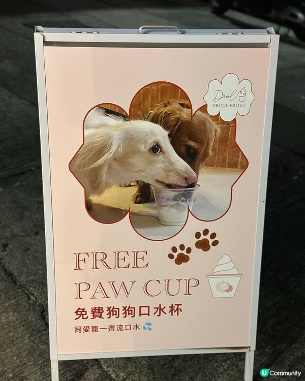 ฅ՞•ﻌ•՞ฅ中環超打卡ᴀʙʟᴇ ꜰʀᴏʏᴏ🌸