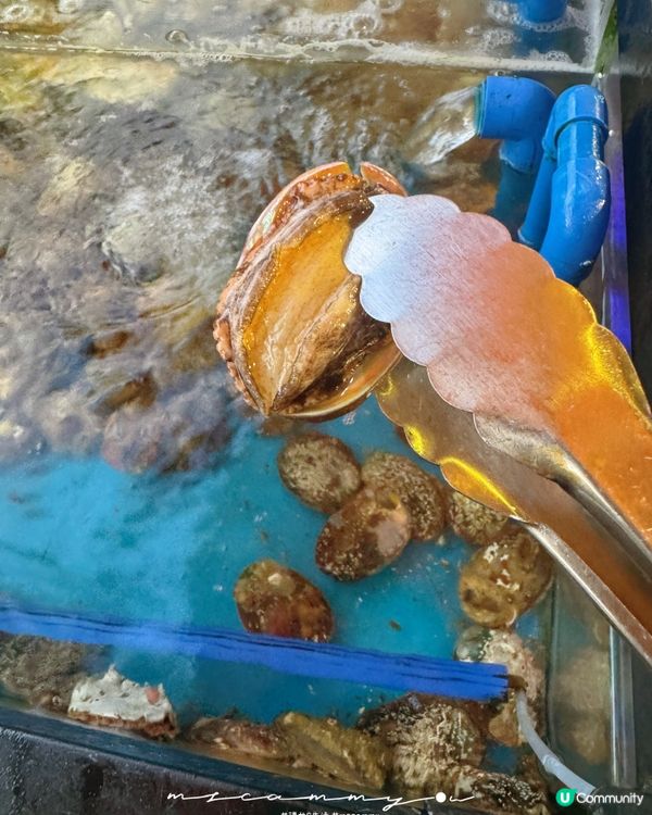 【元朗海鮮火鍋🤤！醉辣鮮再戰！】