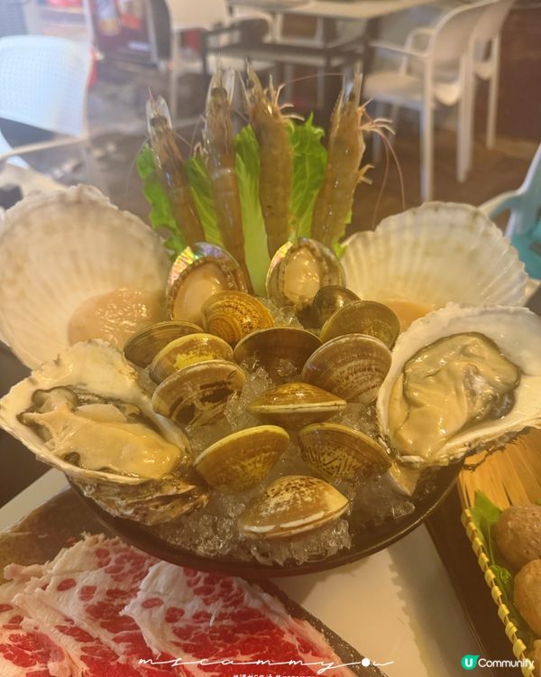 【元朗海鮮火鍋🤤！醉辣鮮再戰！】