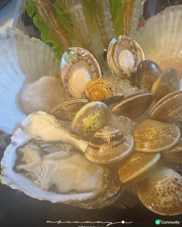 【元朗海鮮火鍋🤤！醉辣鮮再戰！】