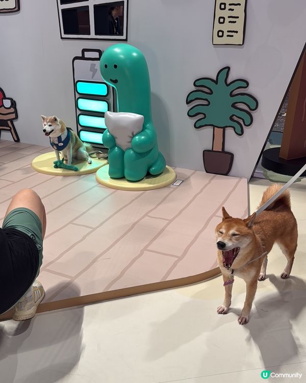 韓國超人氣恐龍🦕JOGUMAN登陸airside