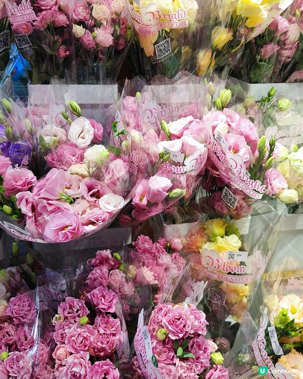 💐🌸🌺我愛花花之花墟賞花啦💐🌸🌺