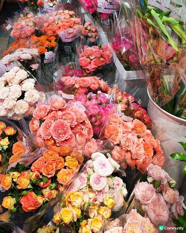 💐🌸🌺我愛花花之花墟賞花啦💐🌸🌺