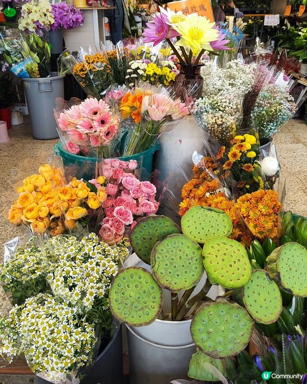💐🌸🌺我愛花花之花墟賞花啦💐🌸🌺