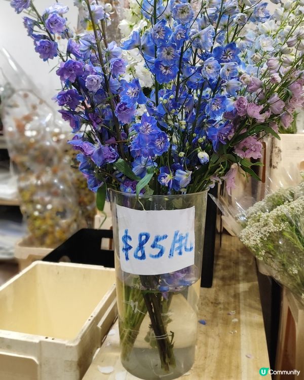 💐🌸🌺我愛花花之花墟賞花啦💐🌸🌺