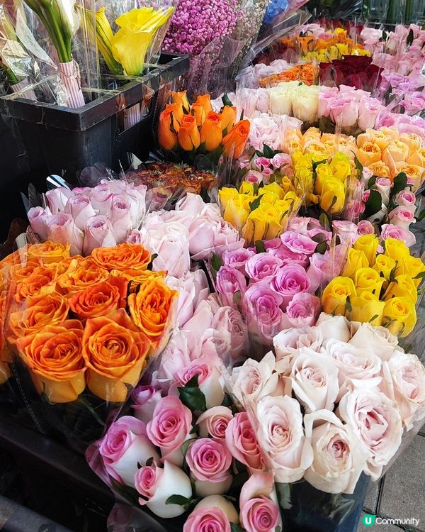 💐🌸🌺我愛花花之花墟賞花啦💐🌸🌺