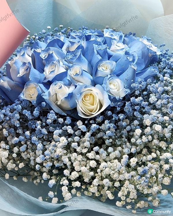 💐🌸🌺我愛花花之花墟賞花啦💐🌸🌺