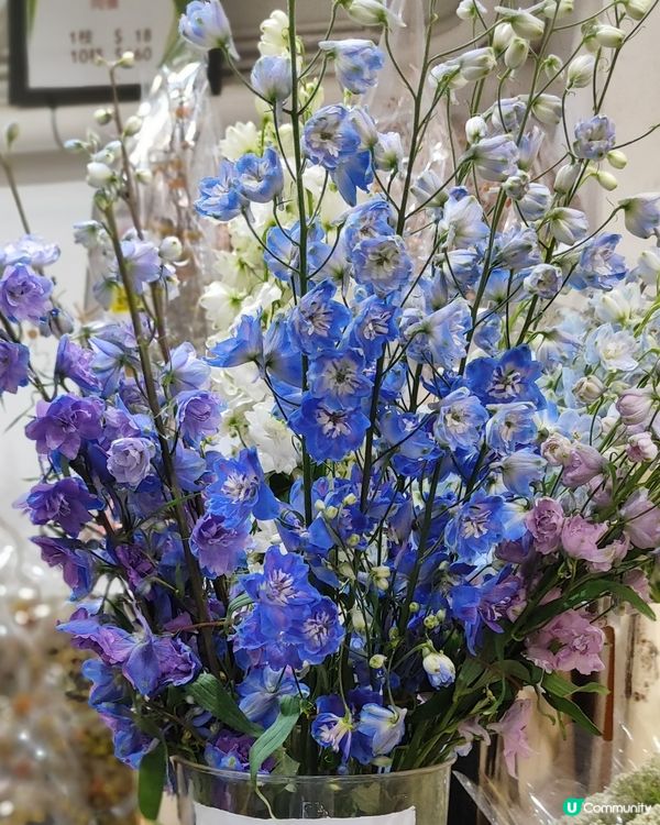 💐🌸🌺我愛花花之花墟賞花啦💐🌸🌺